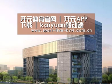 案例展示四
